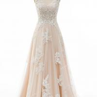 Champagne bridal gown with shoulder straps v neckline 4