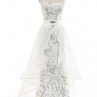 Intricate champagne beadwork with organza skirt bridal gown 6